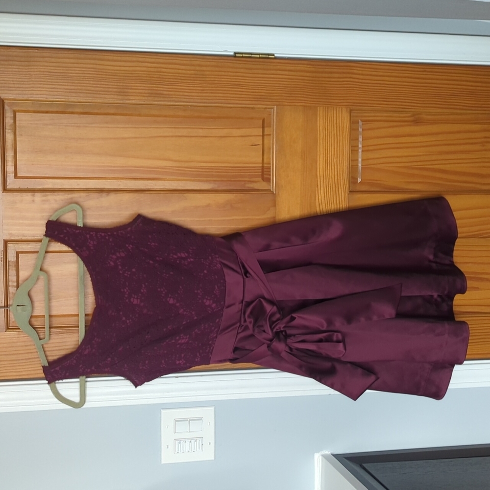 The Limited plum A-line cocktail dress with lace and POCKETS
